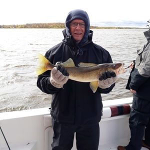 Meet your Posher, Ronald